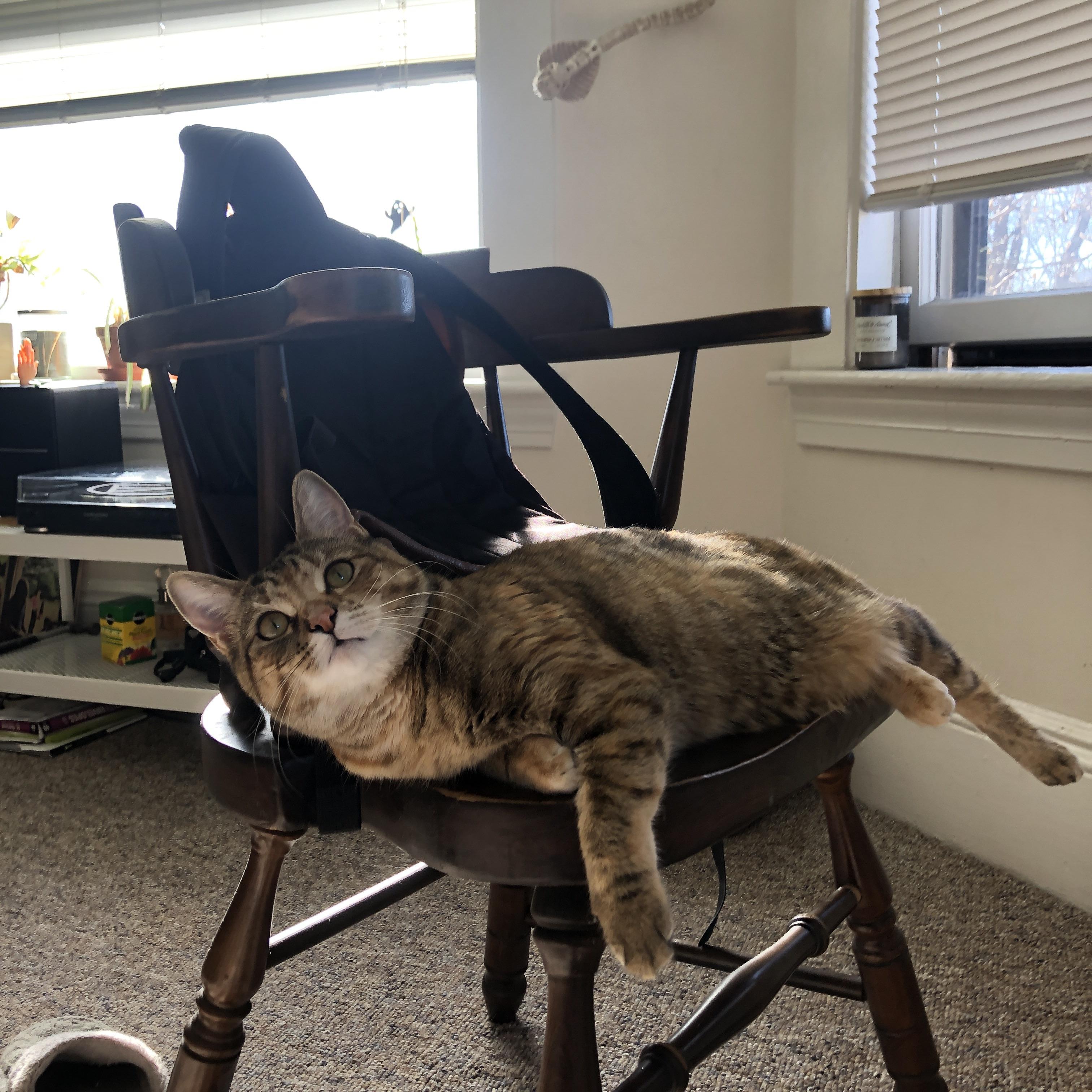 朗斯依靠主场优势连胜攀升积分榜，朗斯vs圣埃蒂安聚胜顽球汇