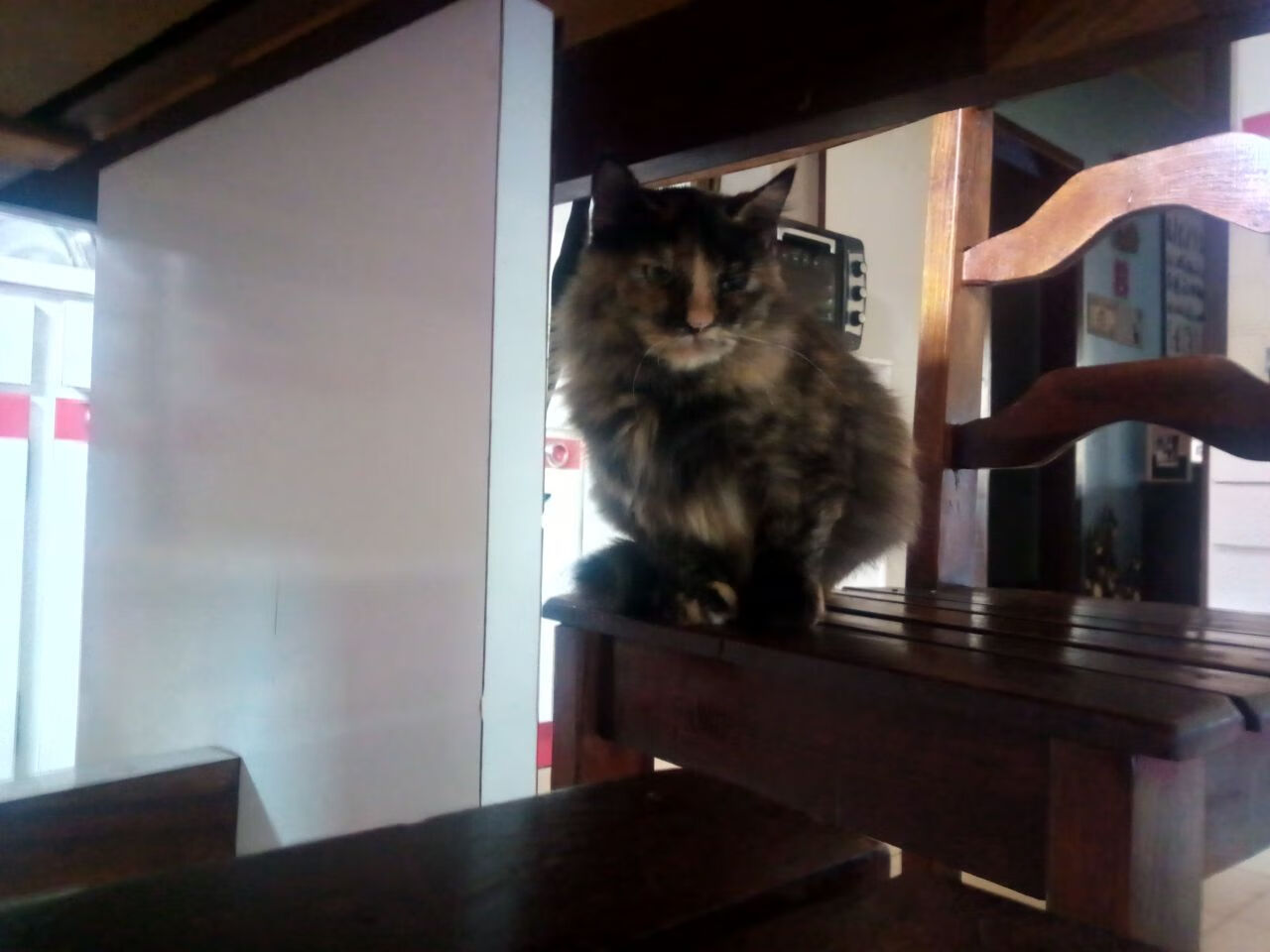 球员节奏感与投篮节奏的协调方式，投篮音乐节奏感