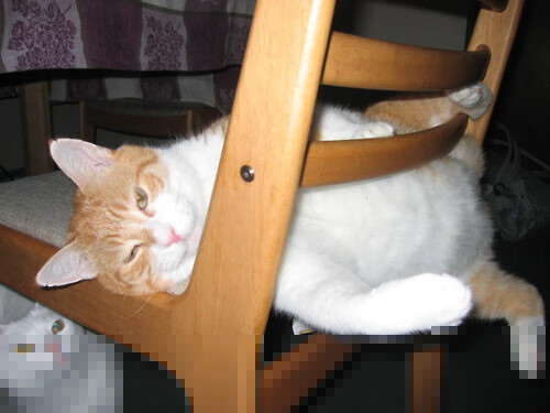 乌干达女篮在非洲锦标赛中勇夺佳绩，续写非洲篮球新传奇，乌干达女超